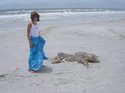 DSCN1675.jpg
